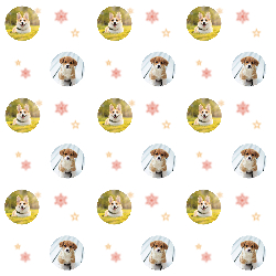Cute Dogs