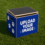 Cheer Boxes - Beaumont High Cheer 2