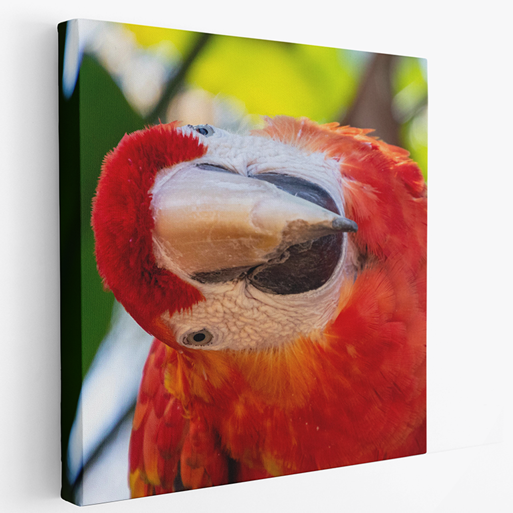 Canvas - Fold Edge 1