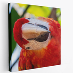 Canvas - Fold Edge 1