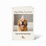 Happy Birthday Cards - Dog 2
