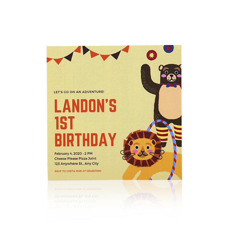 1st Birthday Invitations 1