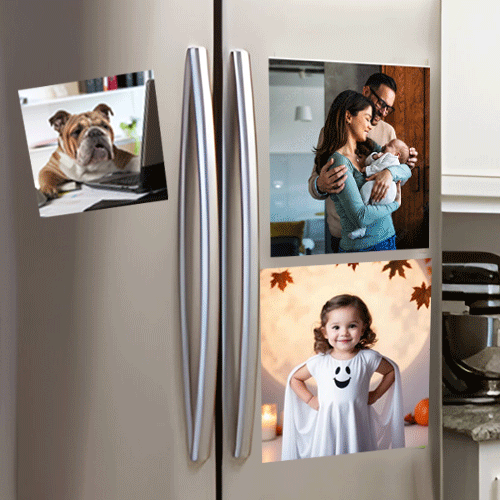 Refrigerator Magnets 1