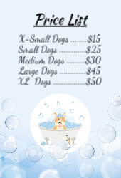 Bubble Dog Wash Flyer 4x6