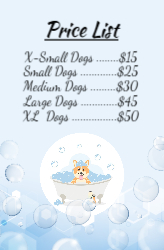 Bubble Dog Wash Flyer 8.5x5.5