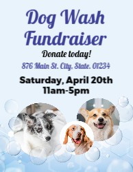Bubble Dog Wash Flyer 8.5x11