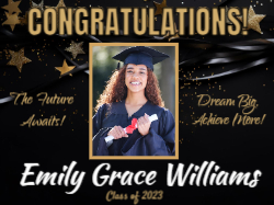 Graduation Confetti Black and Gold Stars