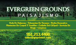 Business Card Template - Landscaping
