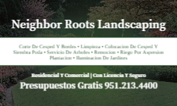 Business Card Template - Landscaping - 039