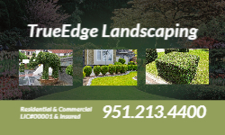 Business Card Template - Landscaping - 45