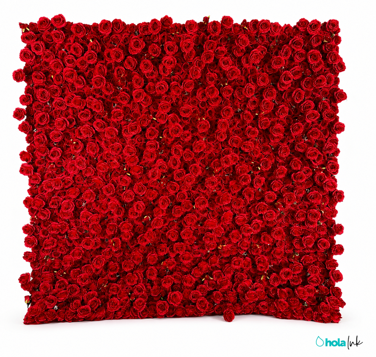 010-Red Rose
