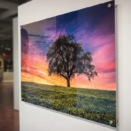 Acrylic Prints