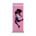 Premium Roll-up Banner 2