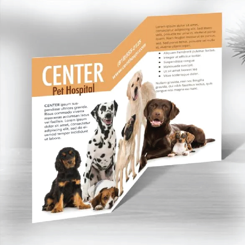 Volante / Folleto 11