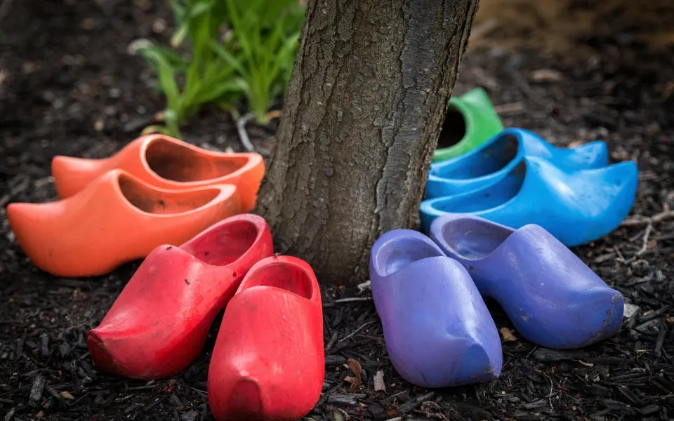 Colorful clogs