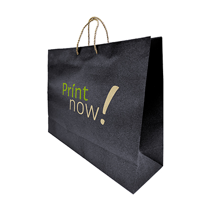 Bolsa de papel personalizada completa Print Now