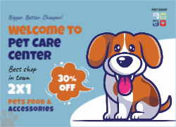 Companion Gleam Front