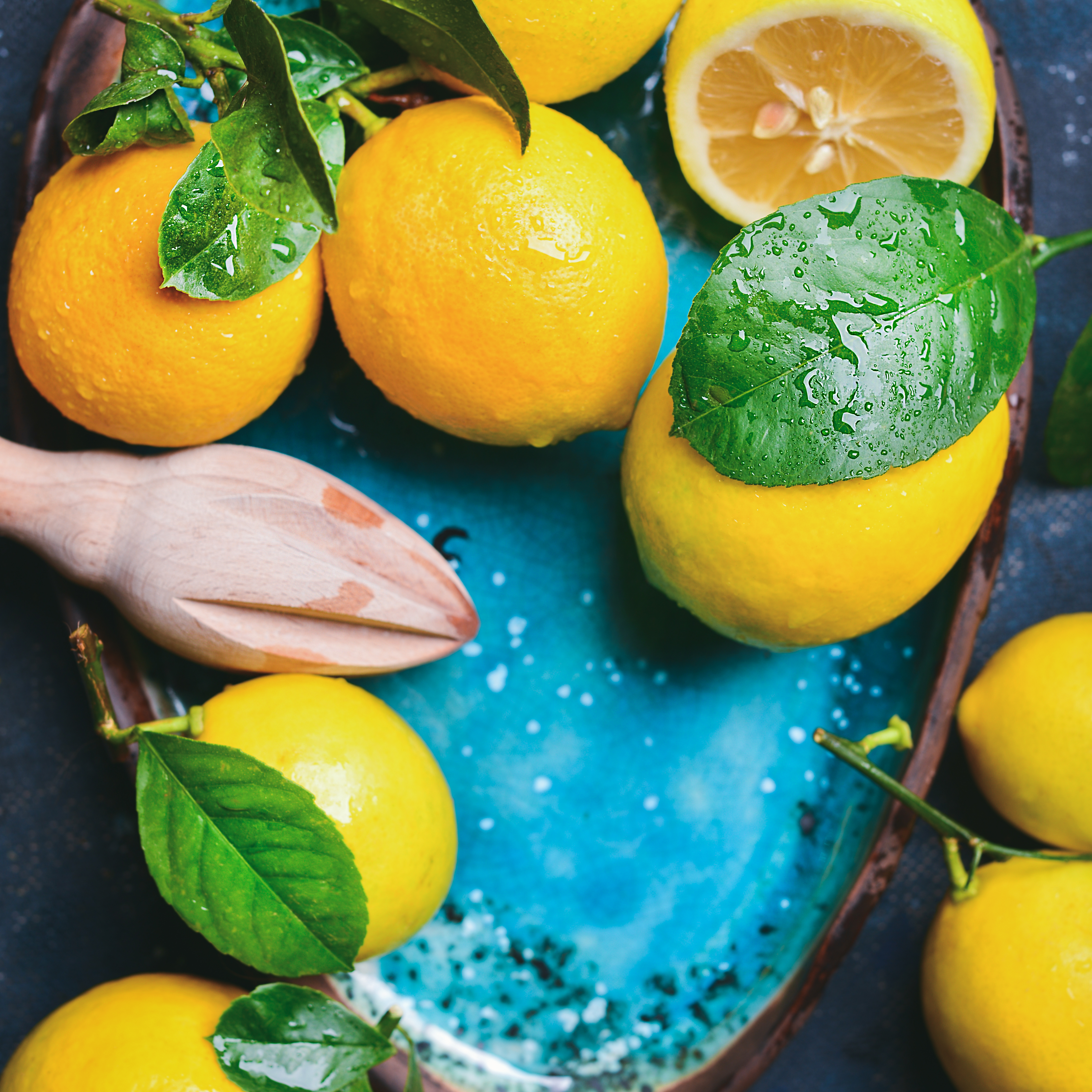 Lemon Stand Branding Kit