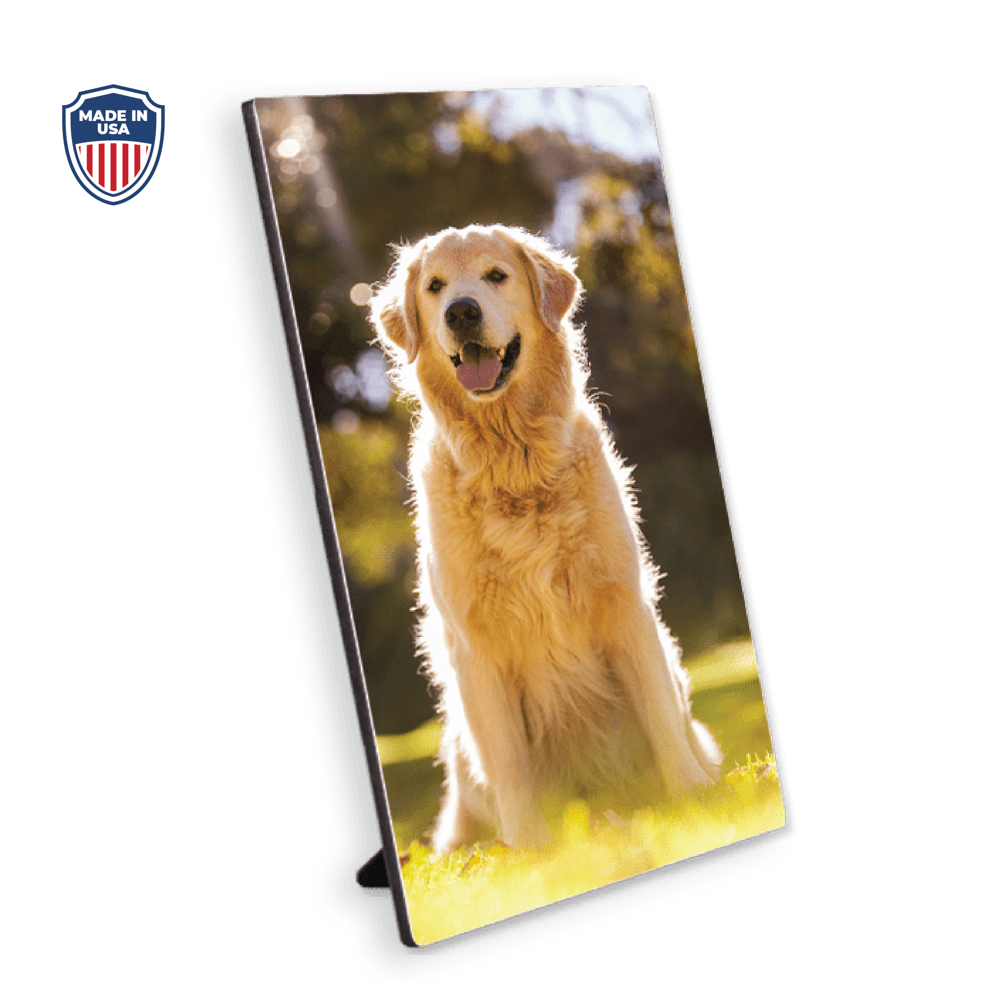 Semi-Gloss Hardboard Photo Panel with Kickstand Easel 3