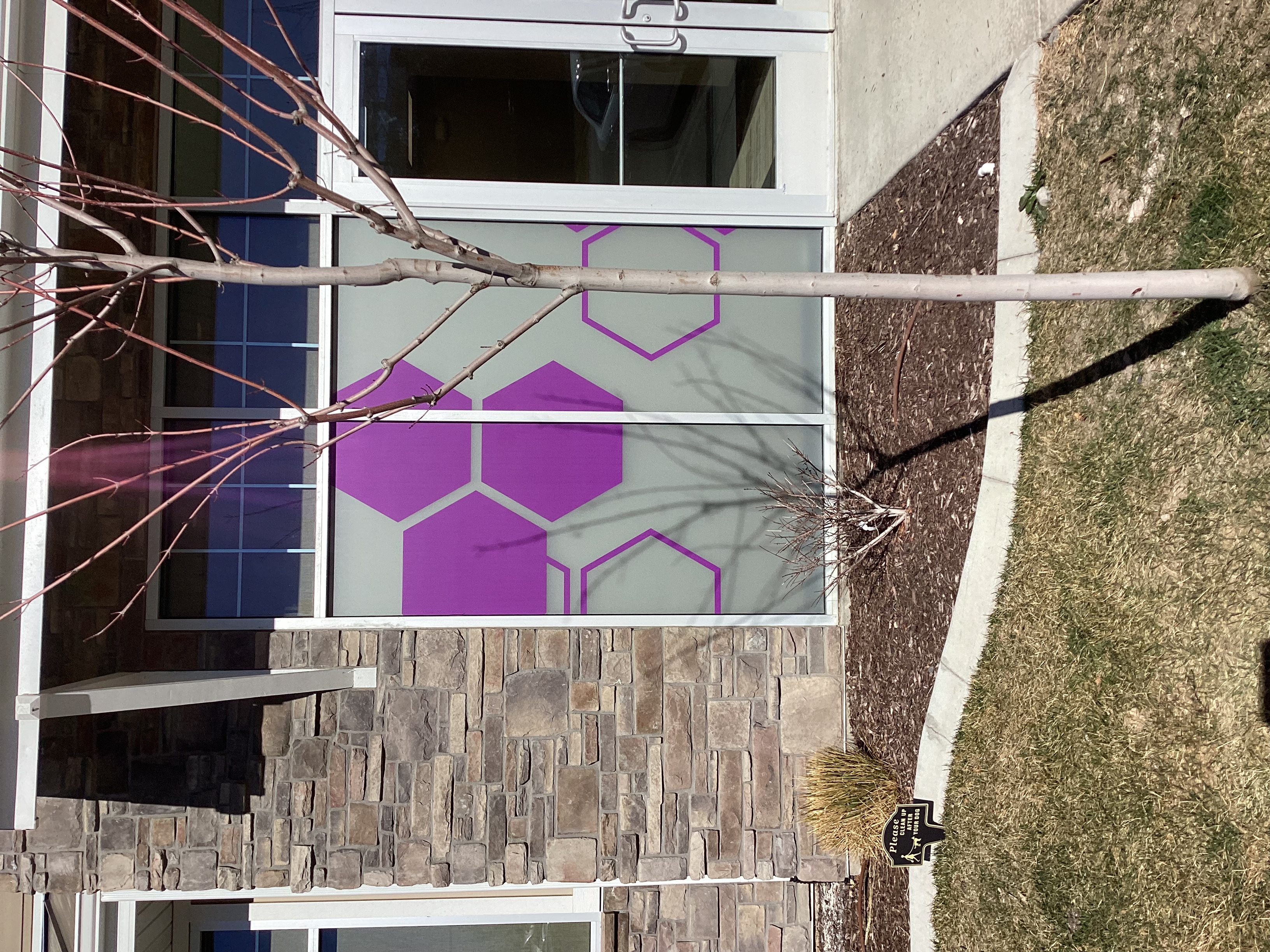 Office building with privacy vinyl on the outside with purple solid and outined hexagons.
