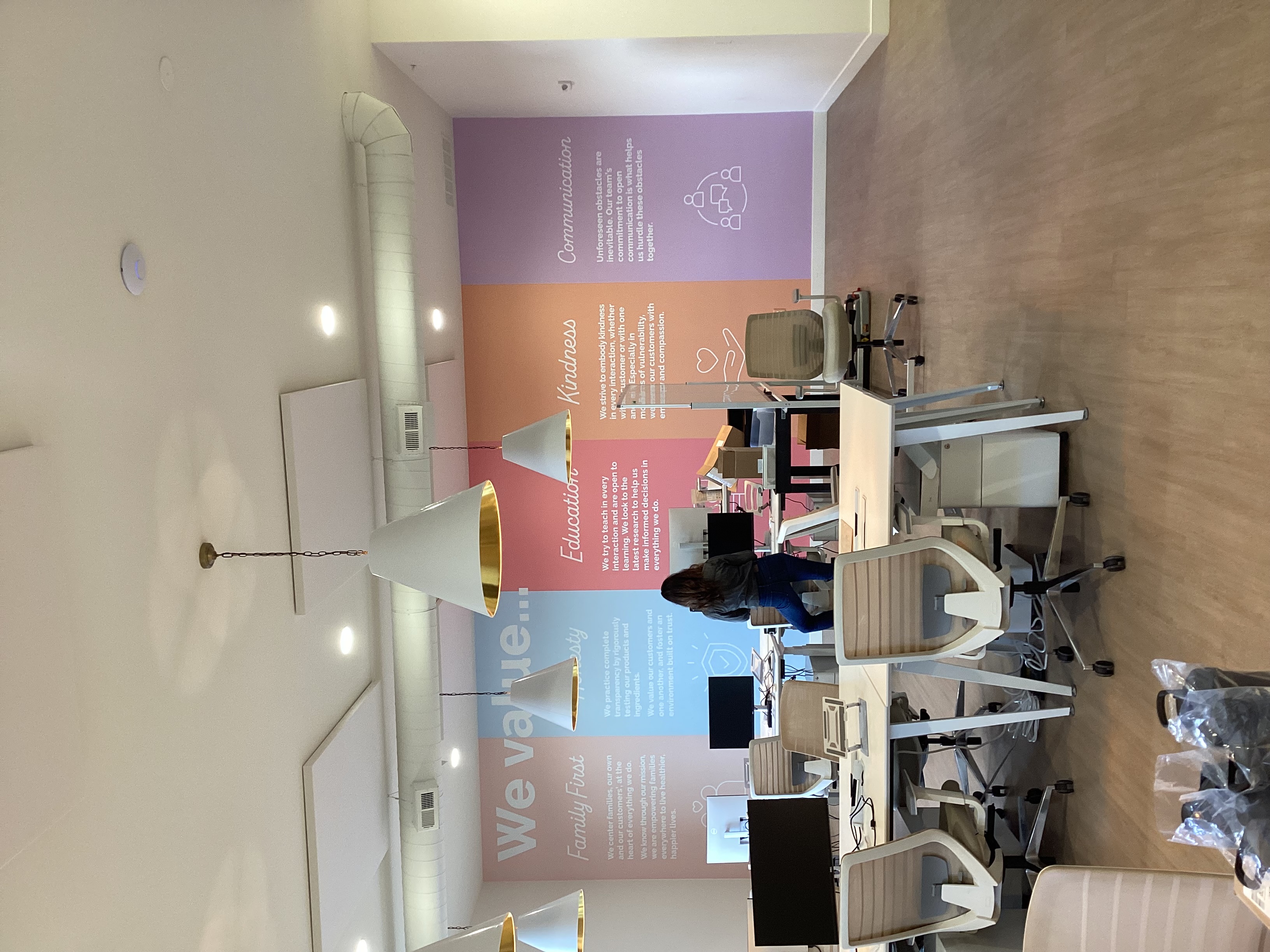 Wall mural of 5 company values