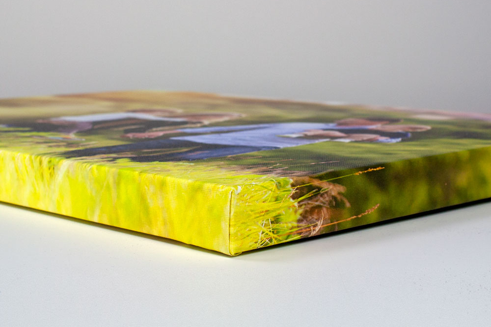 Wrapped border canvas.