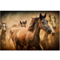 El Caballo en Movimiento