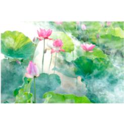 Flor de Loto