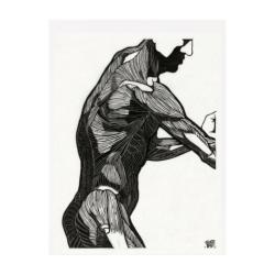 Anatomía en Movimiento
