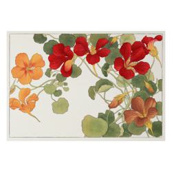 Flor de Capuchina