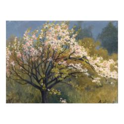Manzano en Flor