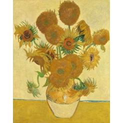 Los Girasoles