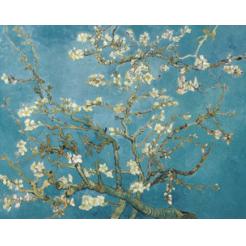 Almendro en Flor