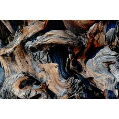 Abstraccion