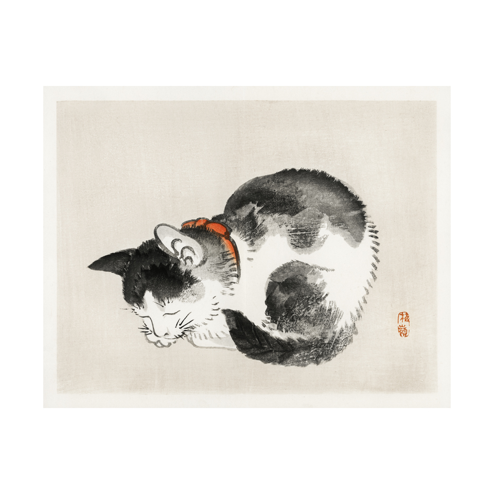 Gato en reposo - Cuadro decorativo personalizado | Megaprint