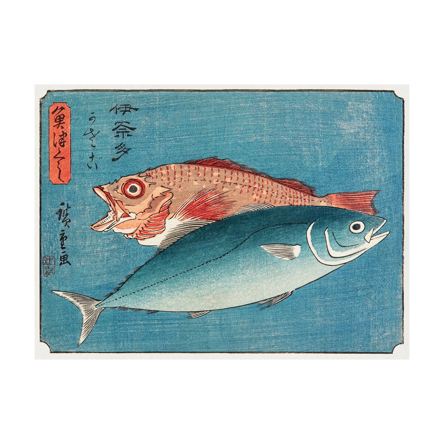 Dos peces - Cuadro decorativo personalizado | Megaprint