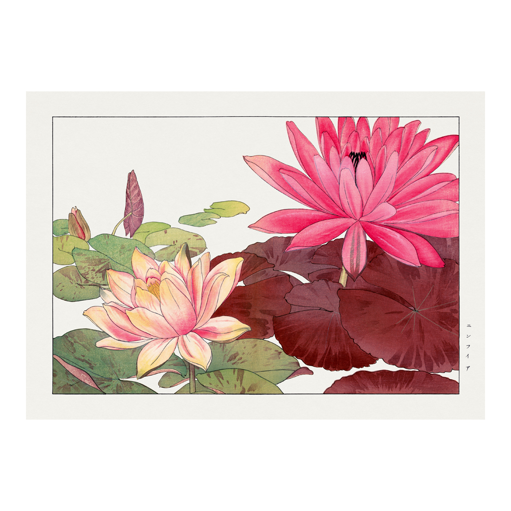 Lotus - Cuadro decorativo personalizado | Megaprint