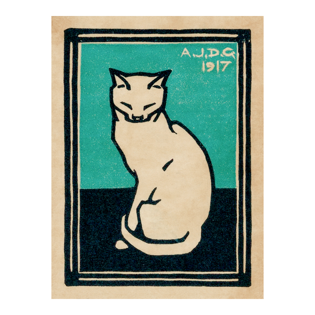 Gato blanco - Cuadro decorativo personalizado | Megaprint