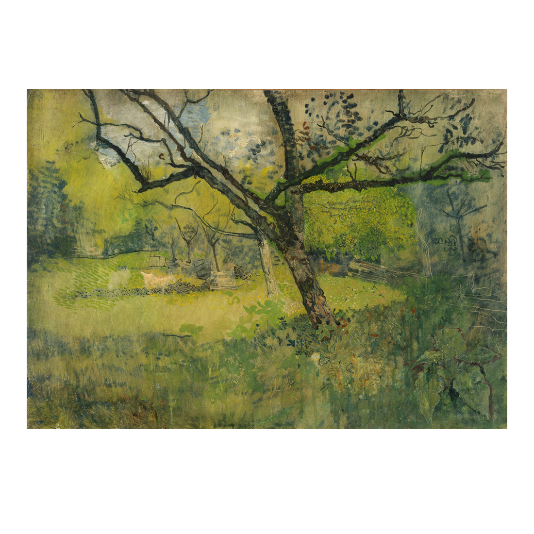 Huerto con árbol en flor - Cuadro decorativo personalizado | Megaprint