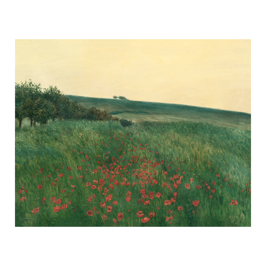 Campo de Amapolas Campo de Amapolas - Cuadro decorativo personalizado | Megaprint