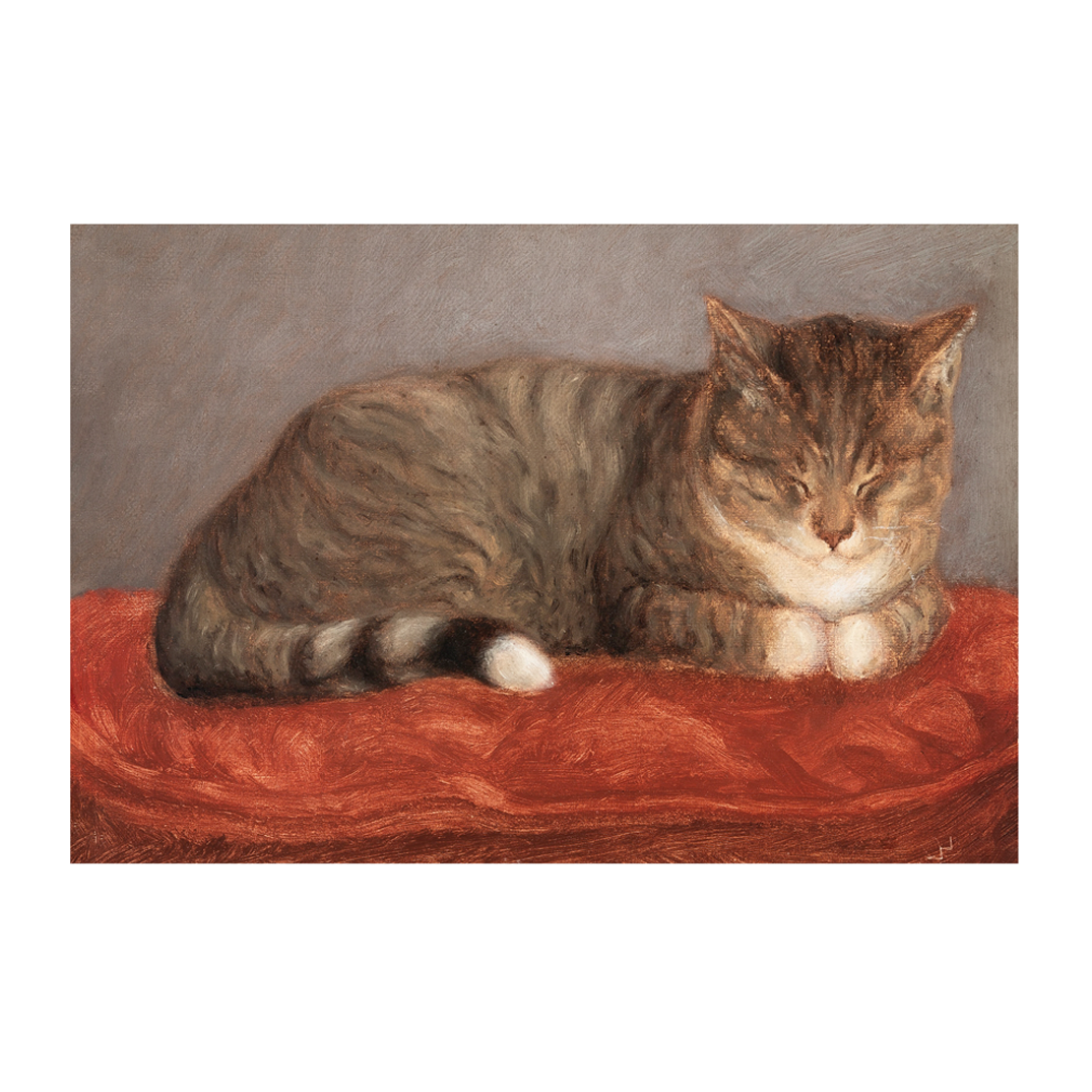 Gato acostado - Impresión personalizada en México | Megaprint
