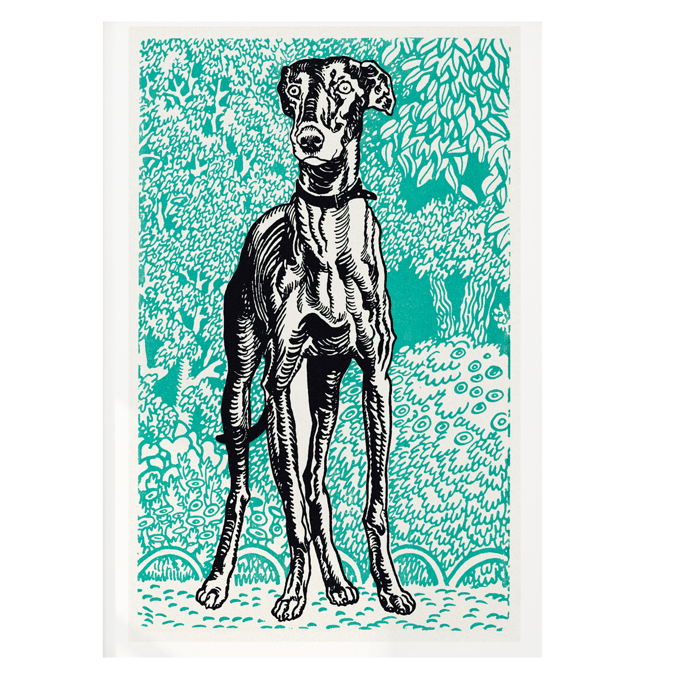 Elegancia en Verde - Impresión personalizada en México | Megaprint