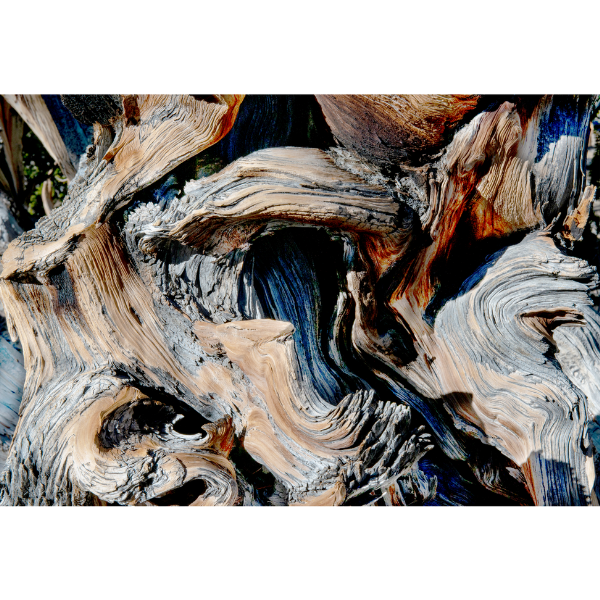 https://d2tl9ctlpnidkn.cloudfront.net/megaprints/images/product/Untitled_design_75__03121919202602.png