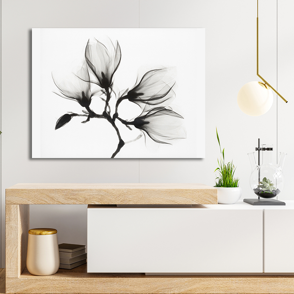 Magnolia Etérea 2