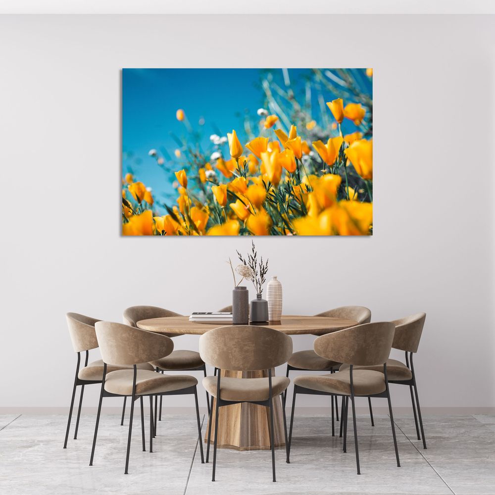 Dorado de Primavera 2