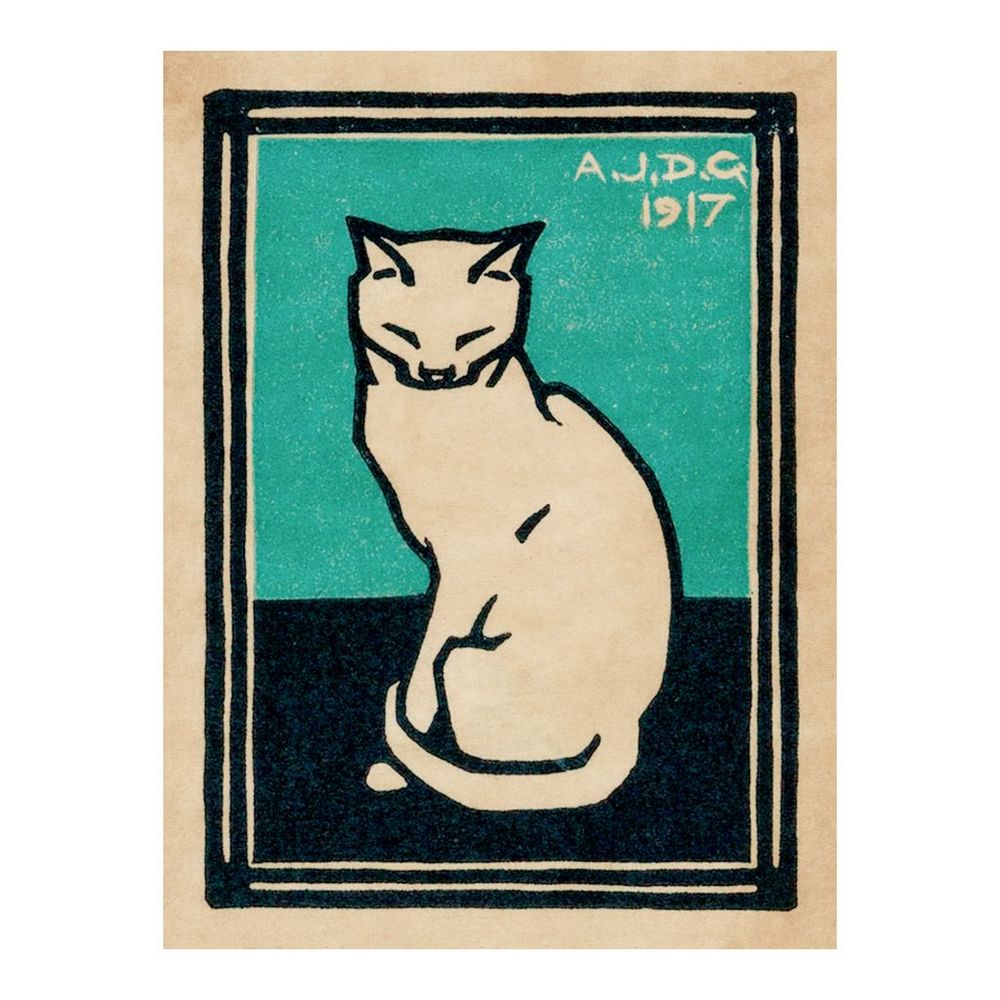 Gato blanco 1