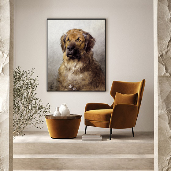 Head of a Leonberger 2