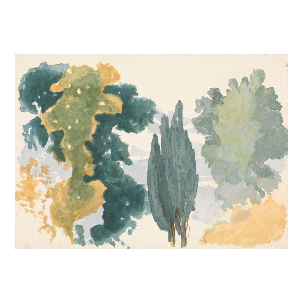 Foliage 1