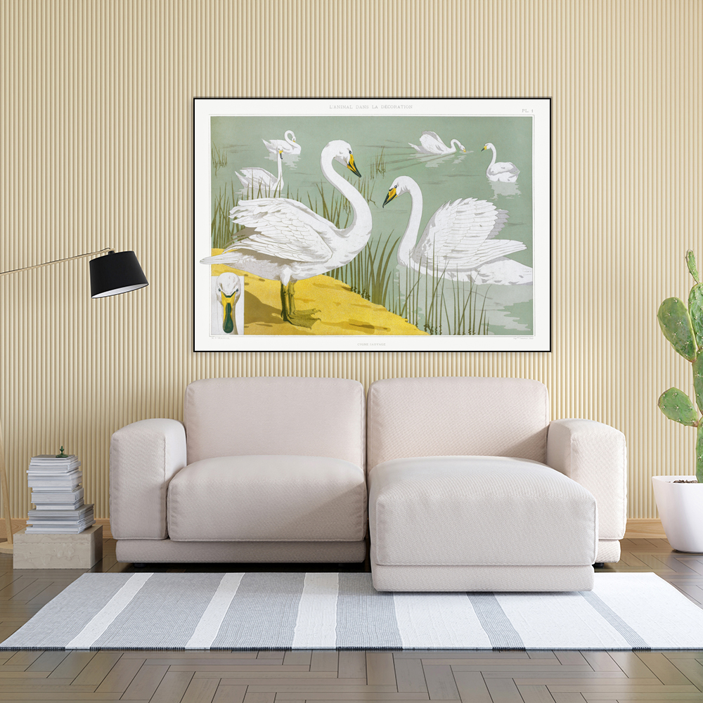 Cisne Salvaje 2