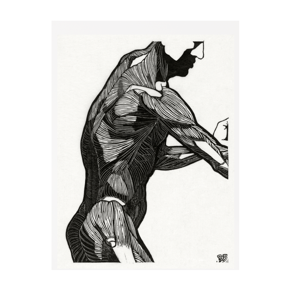 Anatomía en Movimiento 1